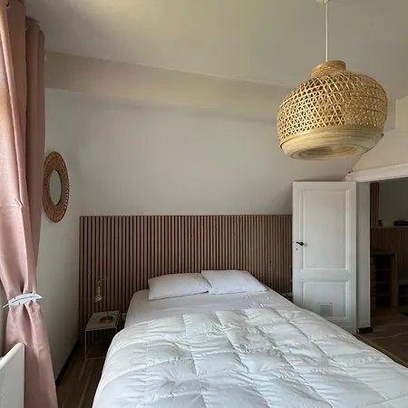 T3 Lumineux - Parking Prive - Proche Centre Et Plages D'arcachon - Fr-1-319-567 *