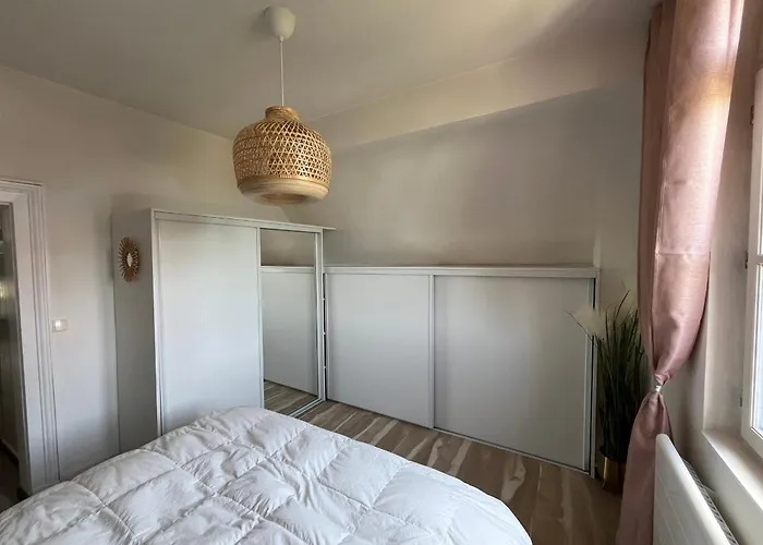 T3 Lumineux - Parking Privé - Proche Centre Et Plages D'arcachon - Fr-1-319-567 *