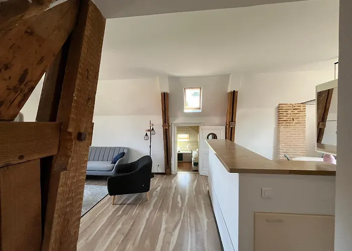 T3 Lumineux - Parking Privé - Proche Centre Et Plages D'arcachon - Fr-1-319-567